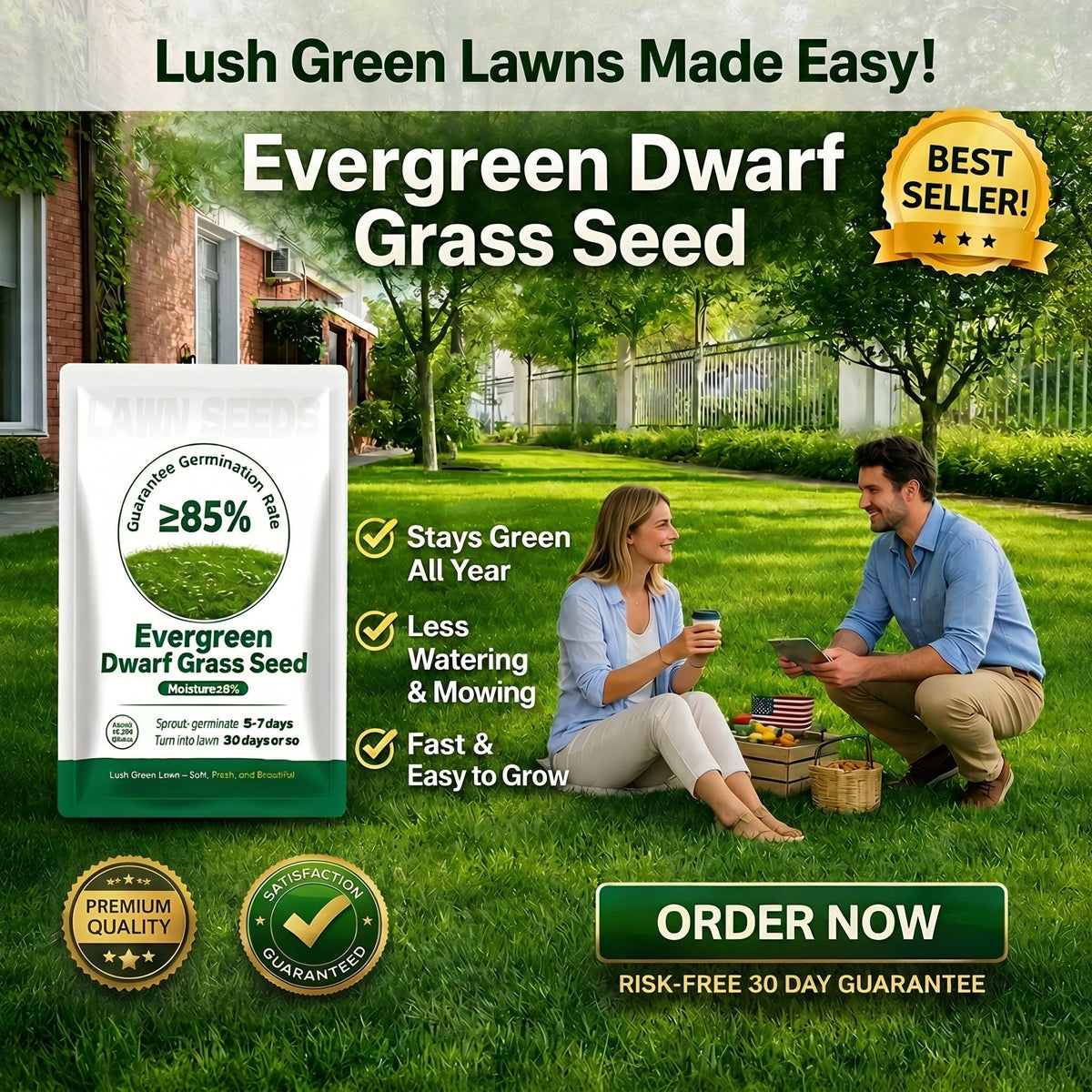Evergreen Dwarf Grass Seed for Four Seasons